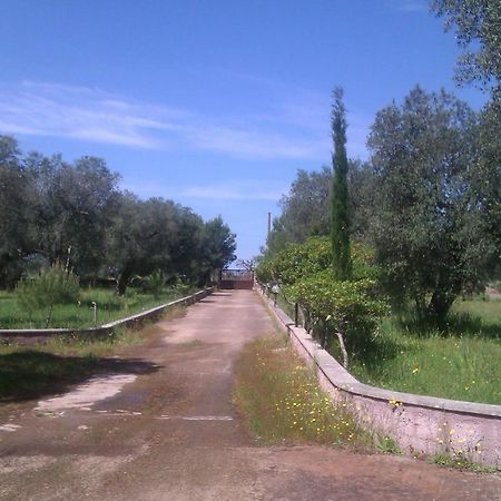 Villa Rustica Nardò Екстериор снимка