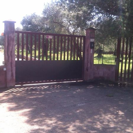 Villa Rustica Nardò Екстериор снимка